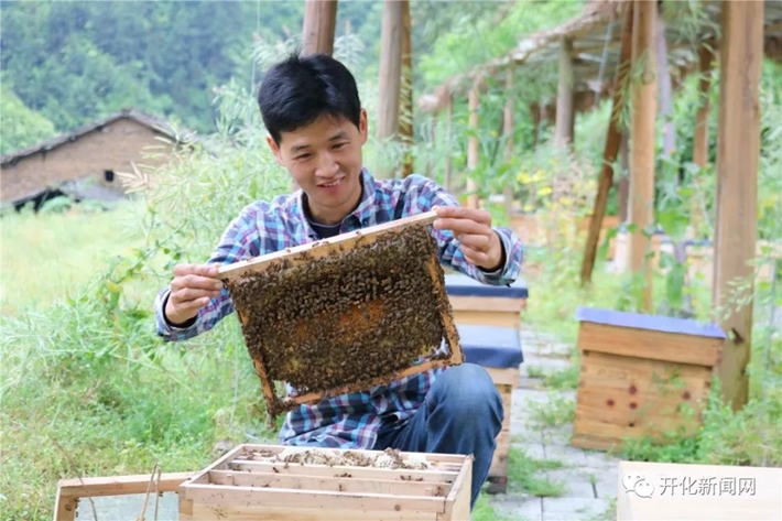 Không tìm được việc, chàng trai về quê nuôi ong kiếm vài trăm triệu ngon ơ