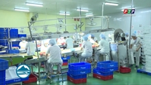 Phú Yên Sôi Động Việc Làm Thời Vụ Cuối Năm