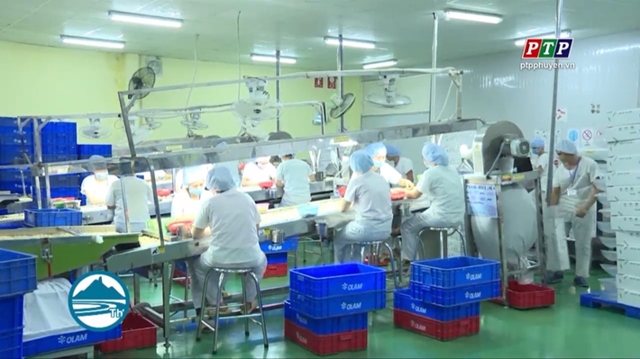 Phú Yên Sôi Động Việc Làm Thời Vụ Cuối Năm