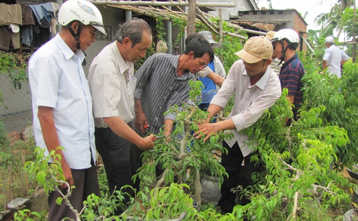Đào tạo nghề cho nông dân theo hướng linh động, thiết thực