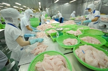 ĐƠN HÀNG PHỎNG VẤN TRONG THÁNG 7 2021